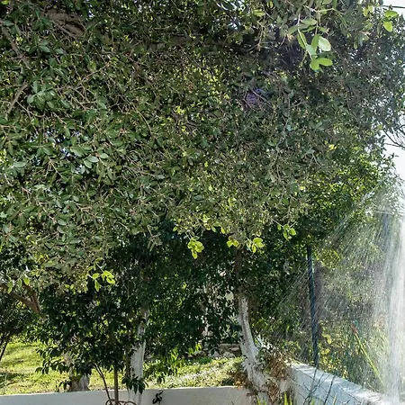 Apartment Aelia - A Peaceful And Private Place