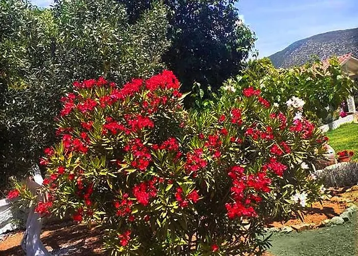 Aelia - A Peaceful And Private Place