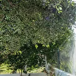 Lejlighed Aelia - A Peaceful And Private Place