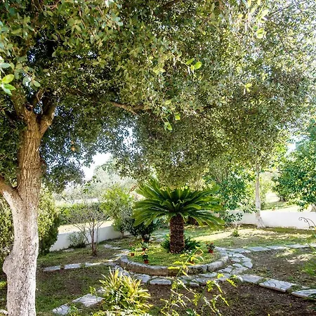 Aelia - A Peaceful And Private Place