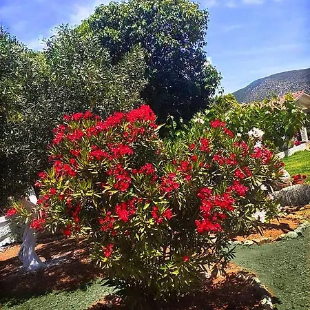Aelia - A Peaceful And Private Place