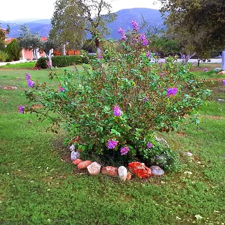 Aelia - A Peaceful And Private Place Διαμέρισμα *
