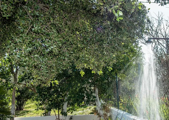 Διαμέρισμα Aelia - A Peaceful And Private Place