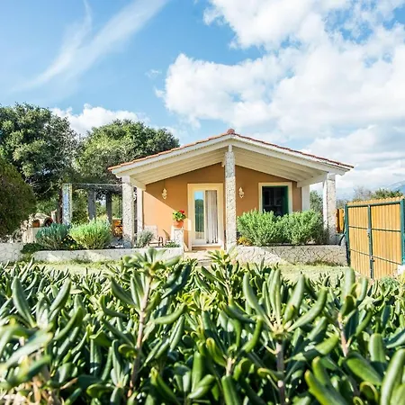 Apartmán Aelia - A Peaceful And Private Place *